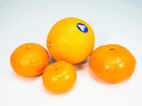 Different Types of Oranges Ponkan for Sale in Metro Manila delivery