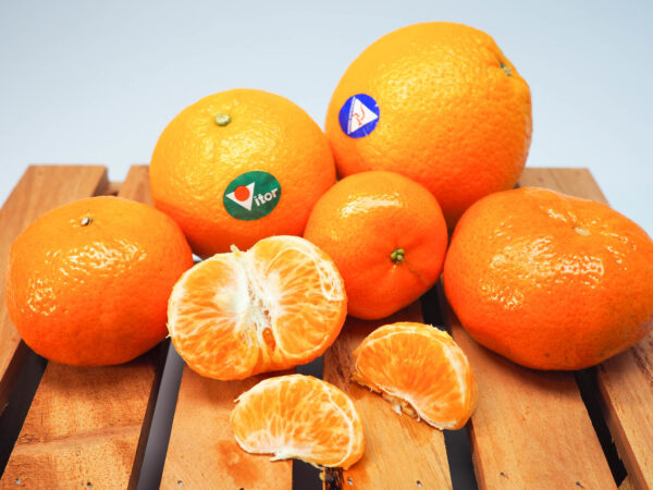 Orange Fruits Gift Boxes for Delivery in Metro Manila