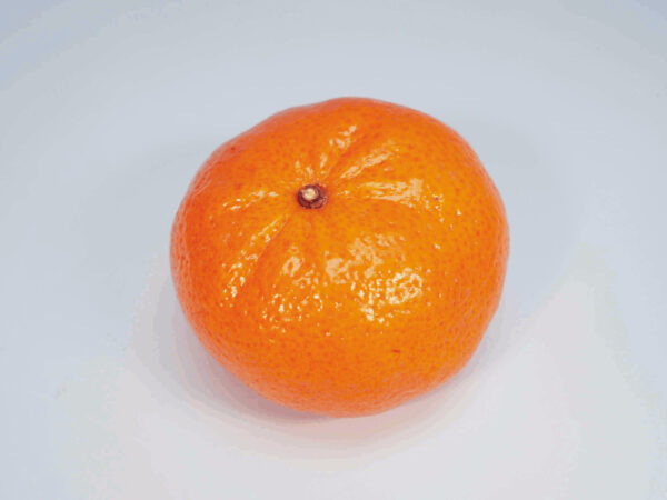 Orange Ponkans Fruit delivery online Gift Boxes